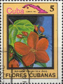 timbre succulent