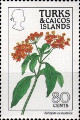 timbre succulent