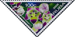 timbre succulent
