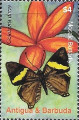 timbre succulent