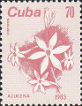timbre succulent