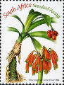 timbre succulent