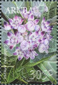 timbre succulent