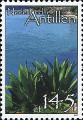 timbre succulent
