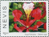 timbre succulent