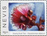 timbre succulent