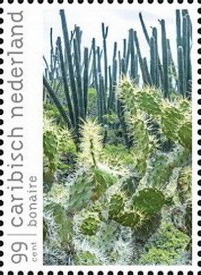 Antilles néerlandaises