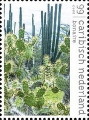 timbre succulent