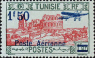 timbre succulent