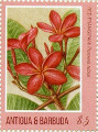 timbre succulent