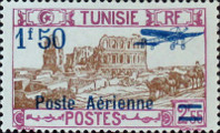 timbre succulent