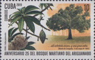 timbre succulent