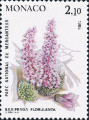 timbre succulent