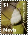 timbre succulent