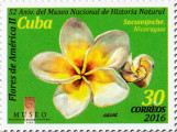 timbre succulent