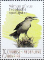 timbre succulent