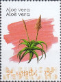 timbre succulent