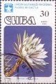 timbre succulent