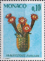 timbre succulent