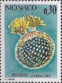 timbre succulent