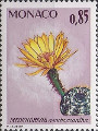 timbre succulent