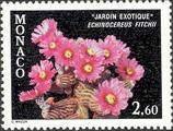 timbre succulent