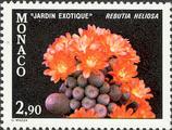 timbre succulent
