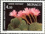 timbre succulent