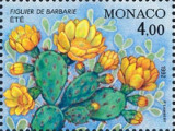 timbre succulent