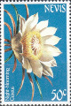 timbre succulent