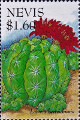 timbre succulent