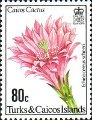 timbre succulent
