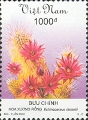 timbre succulent