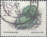 timbre succulent