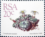 timbre succulent