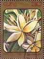 timbre succulent