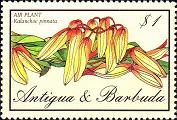 timbre succulent