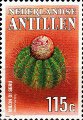 timbre succulent