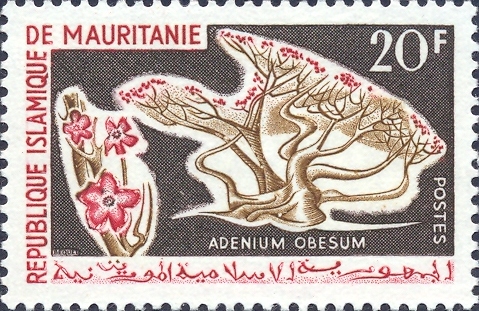 Mauritanie