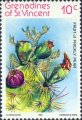 timbre succulent