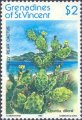 timbre succulent