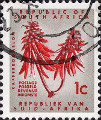 timbre succulent