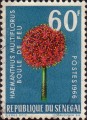 timbre succulent