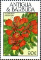 timbre succulent