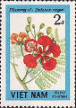 timbre succulent