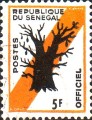 timbre succulent