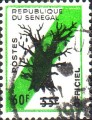 timbre succulent