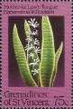 timbre succulent