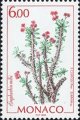 timbre succulent