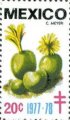 timbre succulent